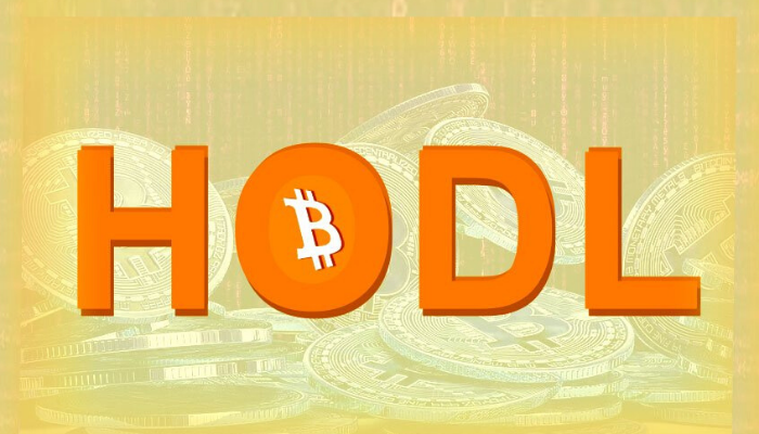 What is HODL in Crypto.png